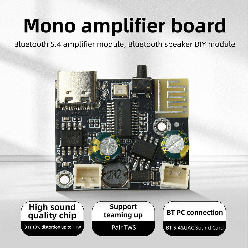 BPM13 Plus 6.2W Mono Sınıf D A - Audio Music Mp3 incelemesi ve fiyatı